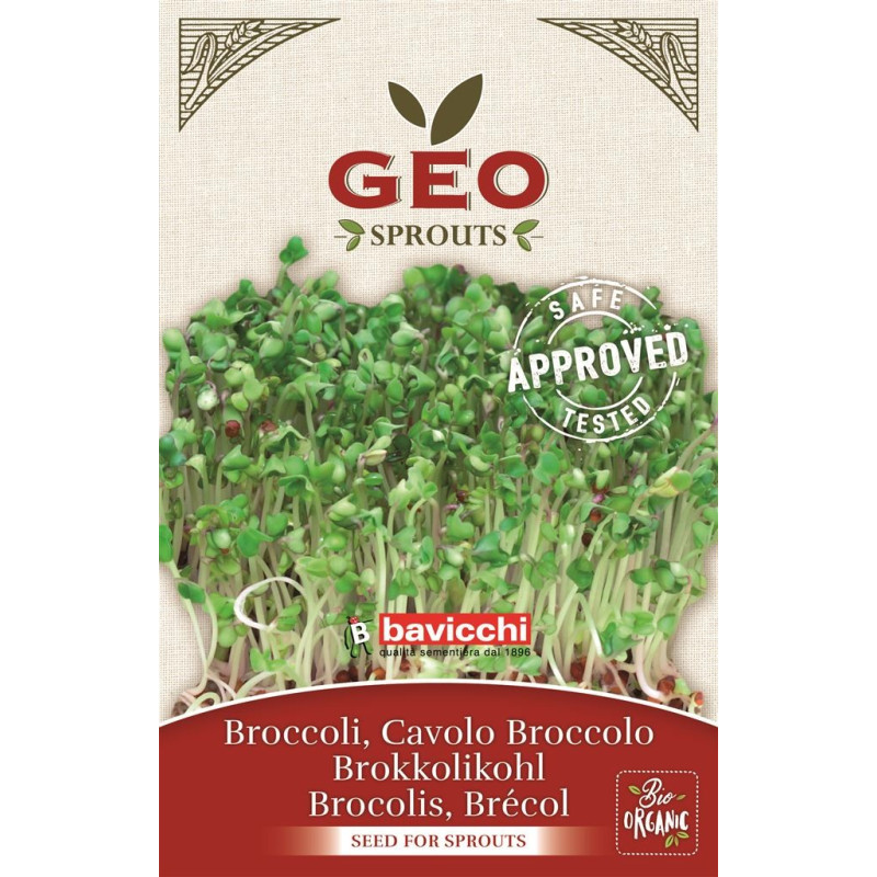 Brokuły - nasiona na kiełki GEO, certyfikowane, 13g, Bavicchi