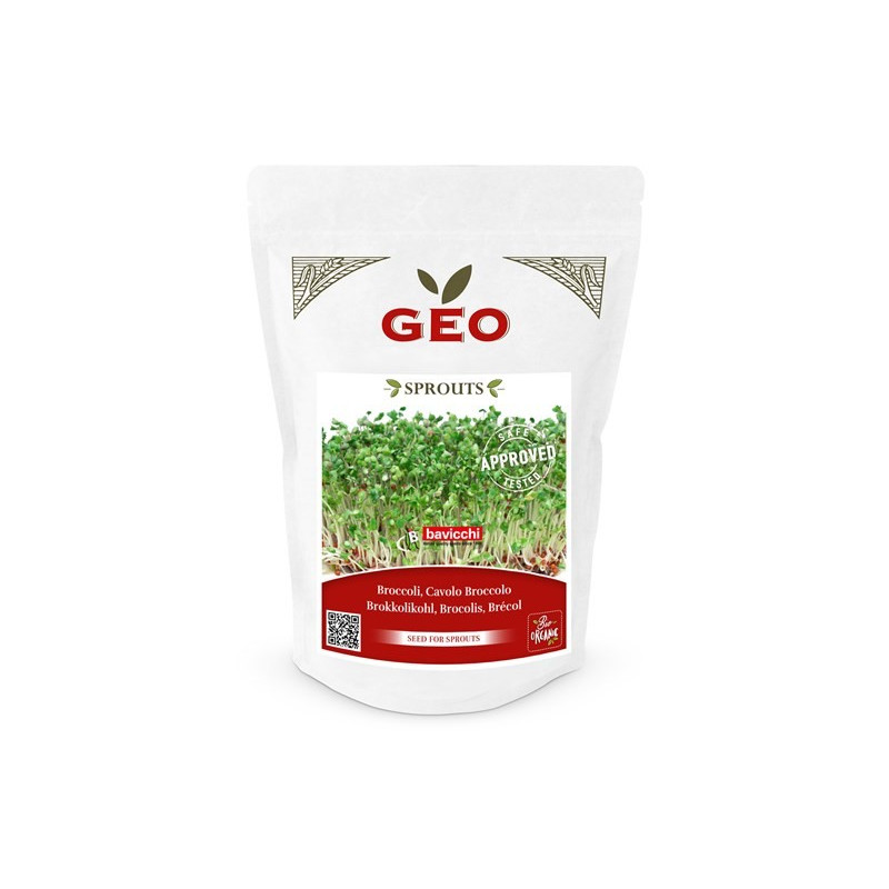 Brokuły - nasiona na kiełki GEO, certyfikowane, 300g, Bavicchi