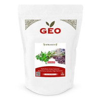 Gryka - nasiona na kiełki GEO, certyfikowane, DUŻE OPAKOWANIE, 500g, Bavicchi