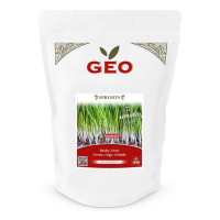 Jęczmień - nasiona na kiełki GEO, certyfikowane, DUŻE OPAKOWANIE, 600g, Bavicchi