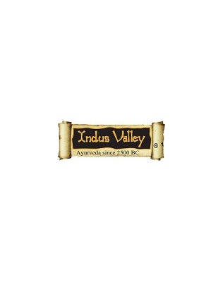 Indus Valley -8
